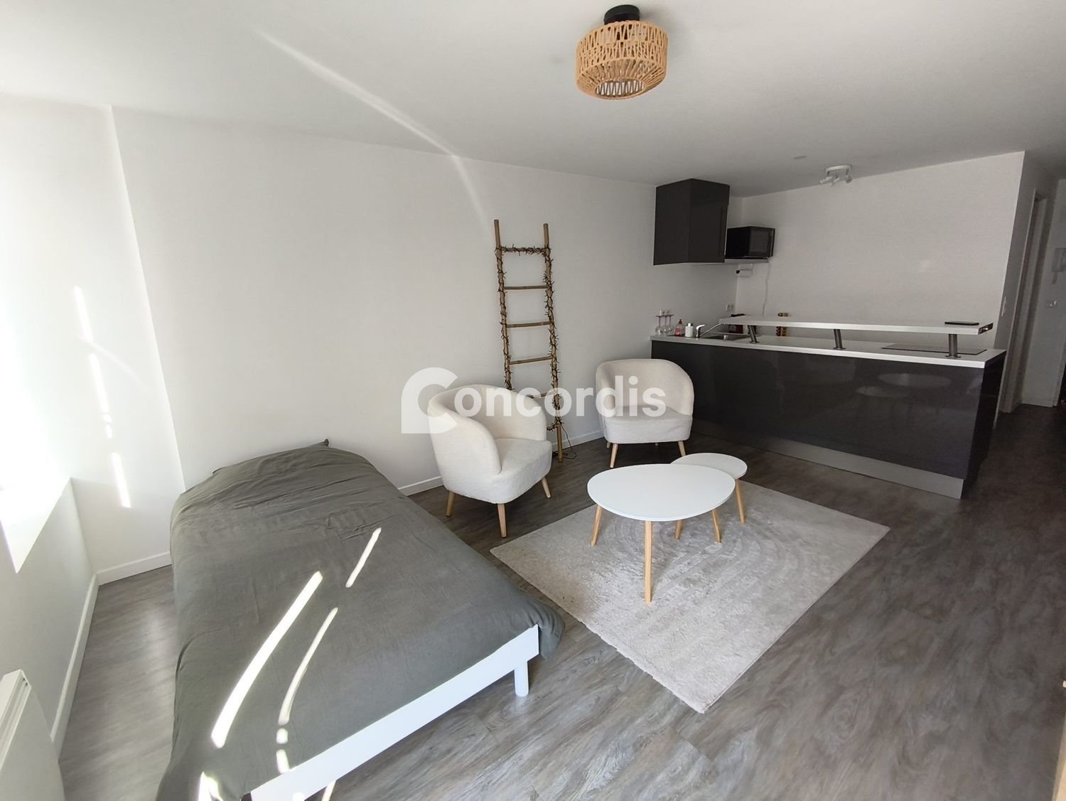 Appartement à louer, 27m², Nancy