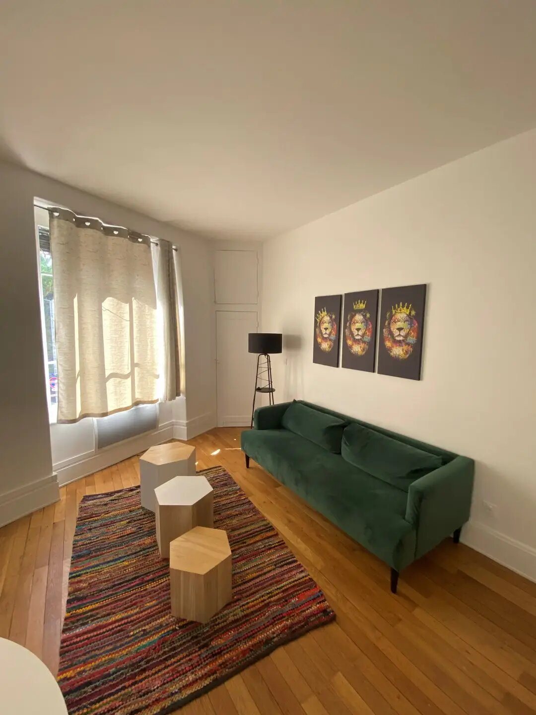 Appartement à louer, 31m², Villeurbanne