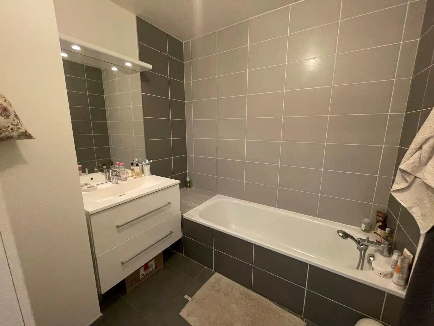 Appartement à louer, 55m², Villeurbanne