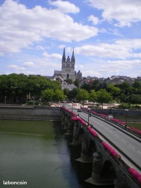 Appartement à louer, 43m², Angers