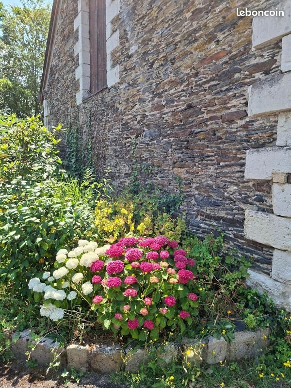 Maison à vendre, 160m², Avrillé