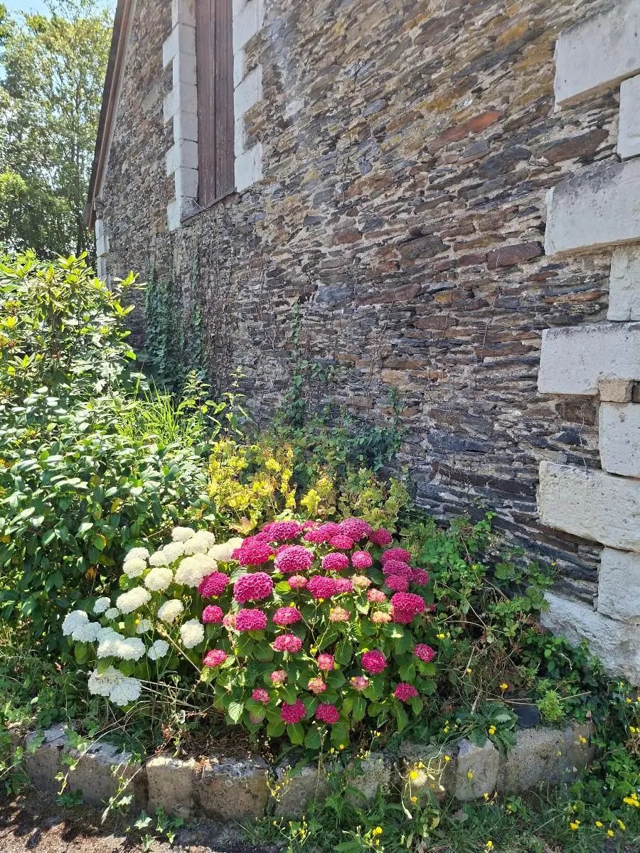 Maison à vendre, 160m², Avrillé
