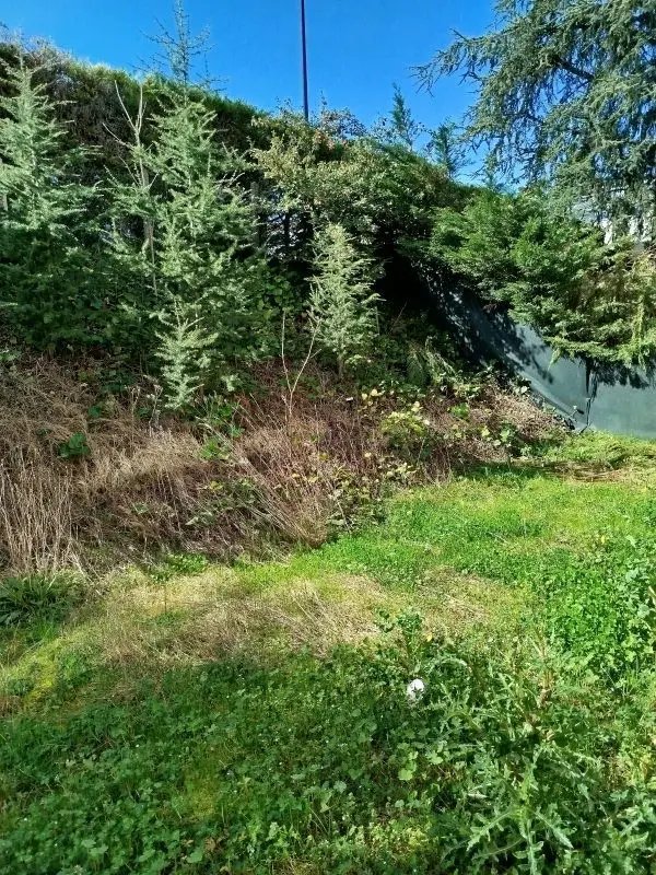 Appartement à louer, 68m², Saint-Didier-au-Mont-d'Or