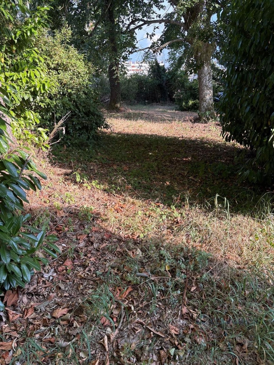 Appartement à vendre, 16m², Rillieux-la-Pape