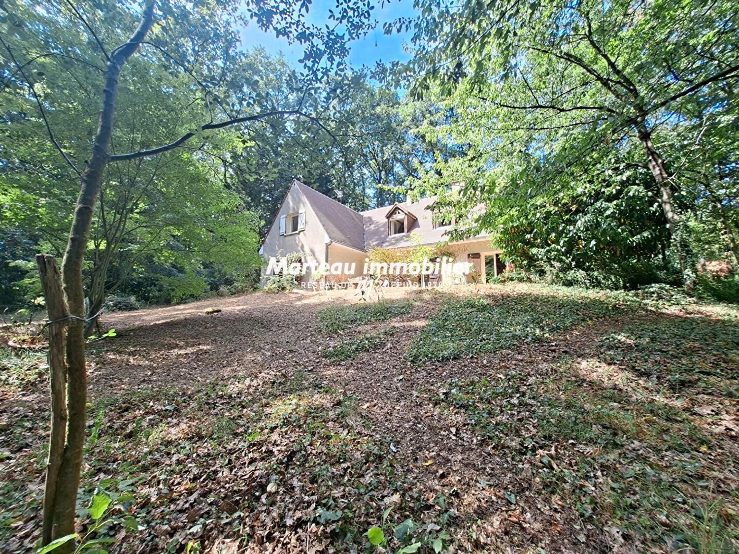 Maison à vendre, 200m², Lavardin