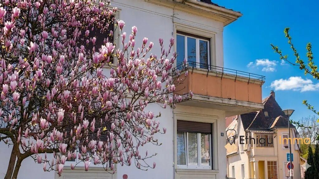 Appartement à vendre, 195m², Schiltigheim