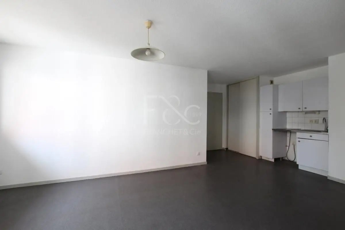 Appartement à louer, 40m², Villeurbanne