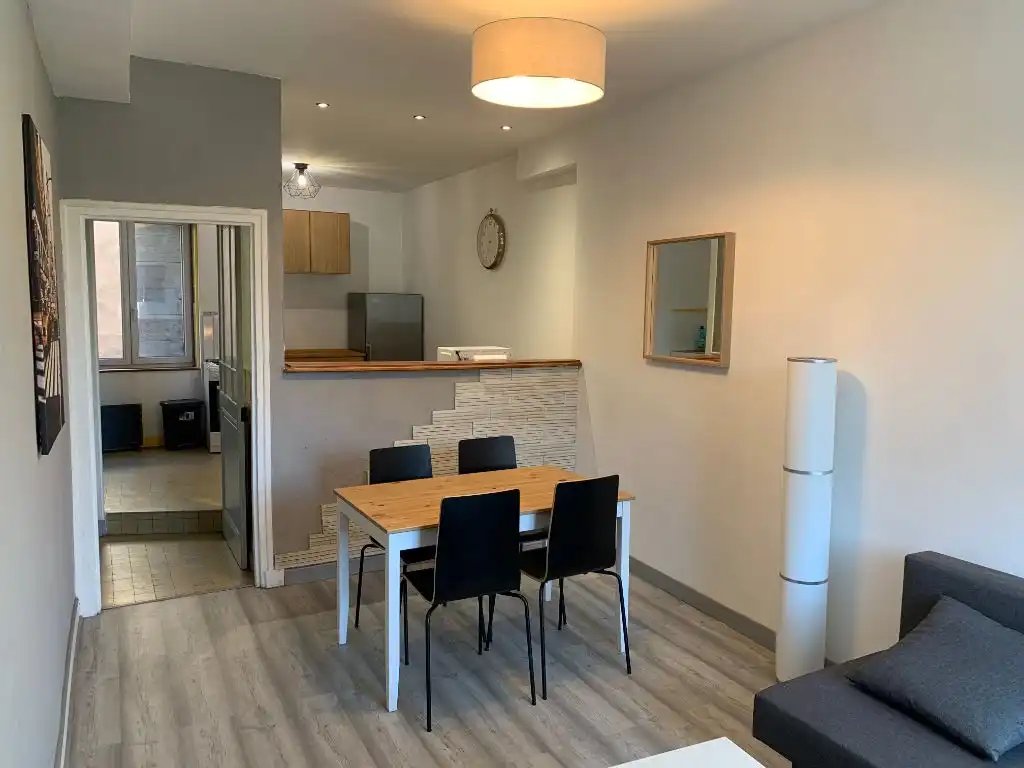 Appartement à louer, 49m², Vienne