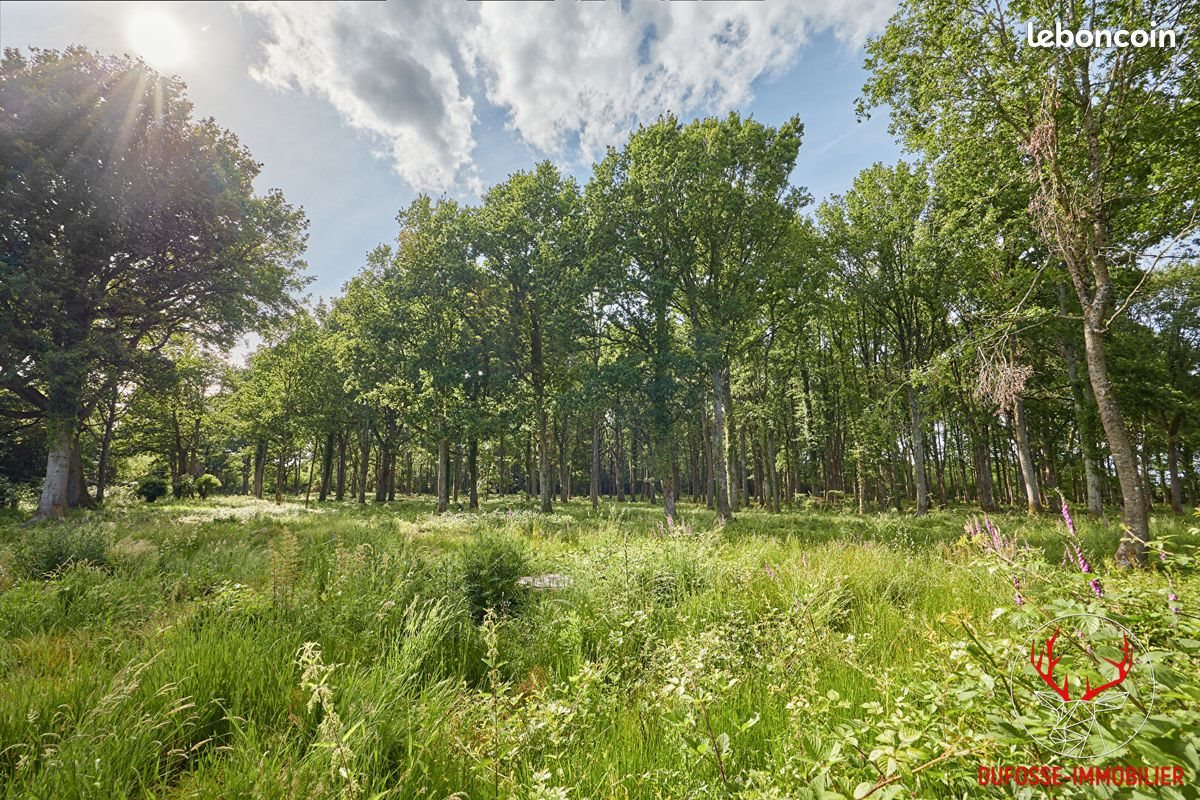 Maison à vendre, 167m², Livarot