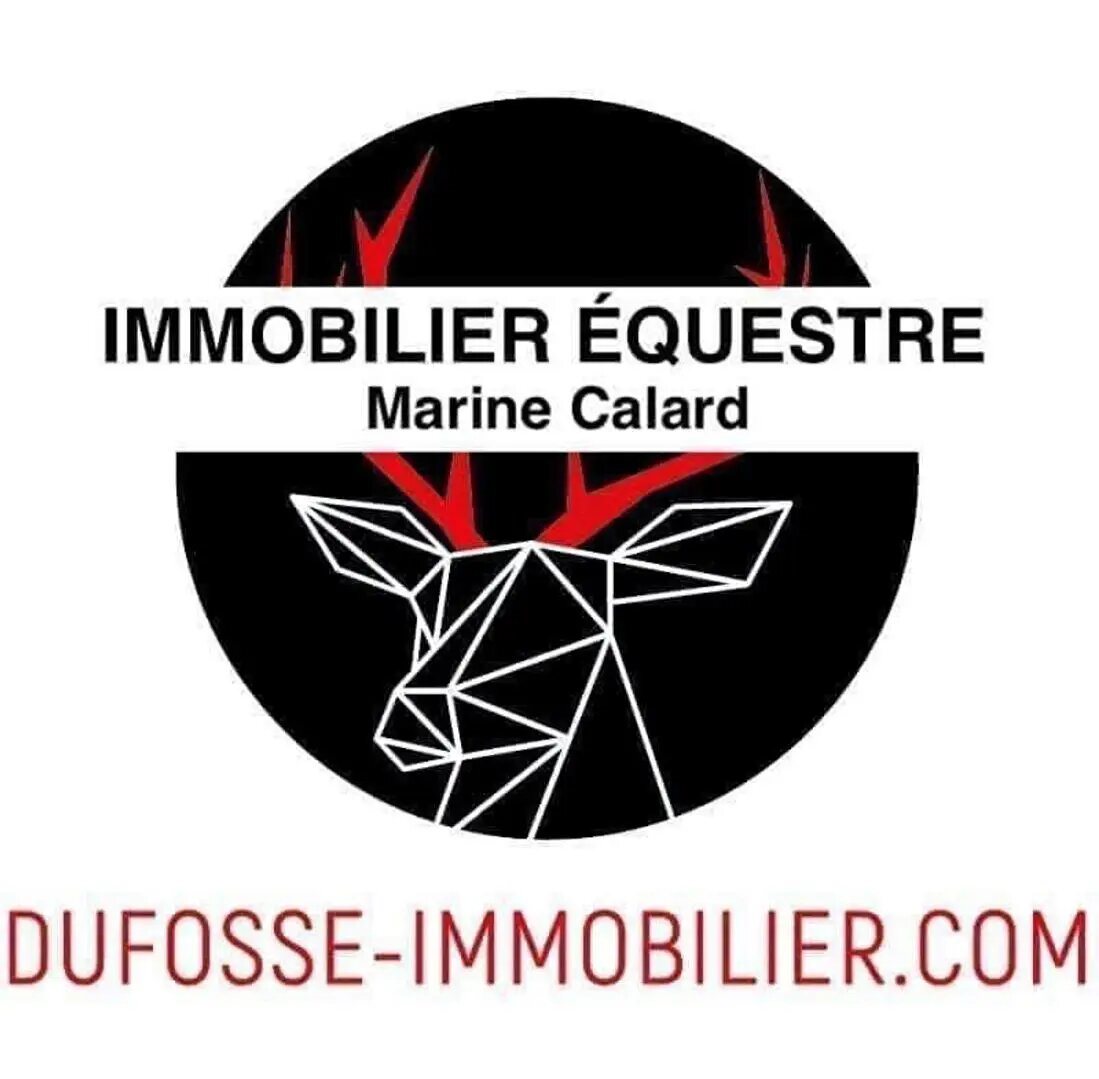 Maison à vendre, 340m², Nogaro