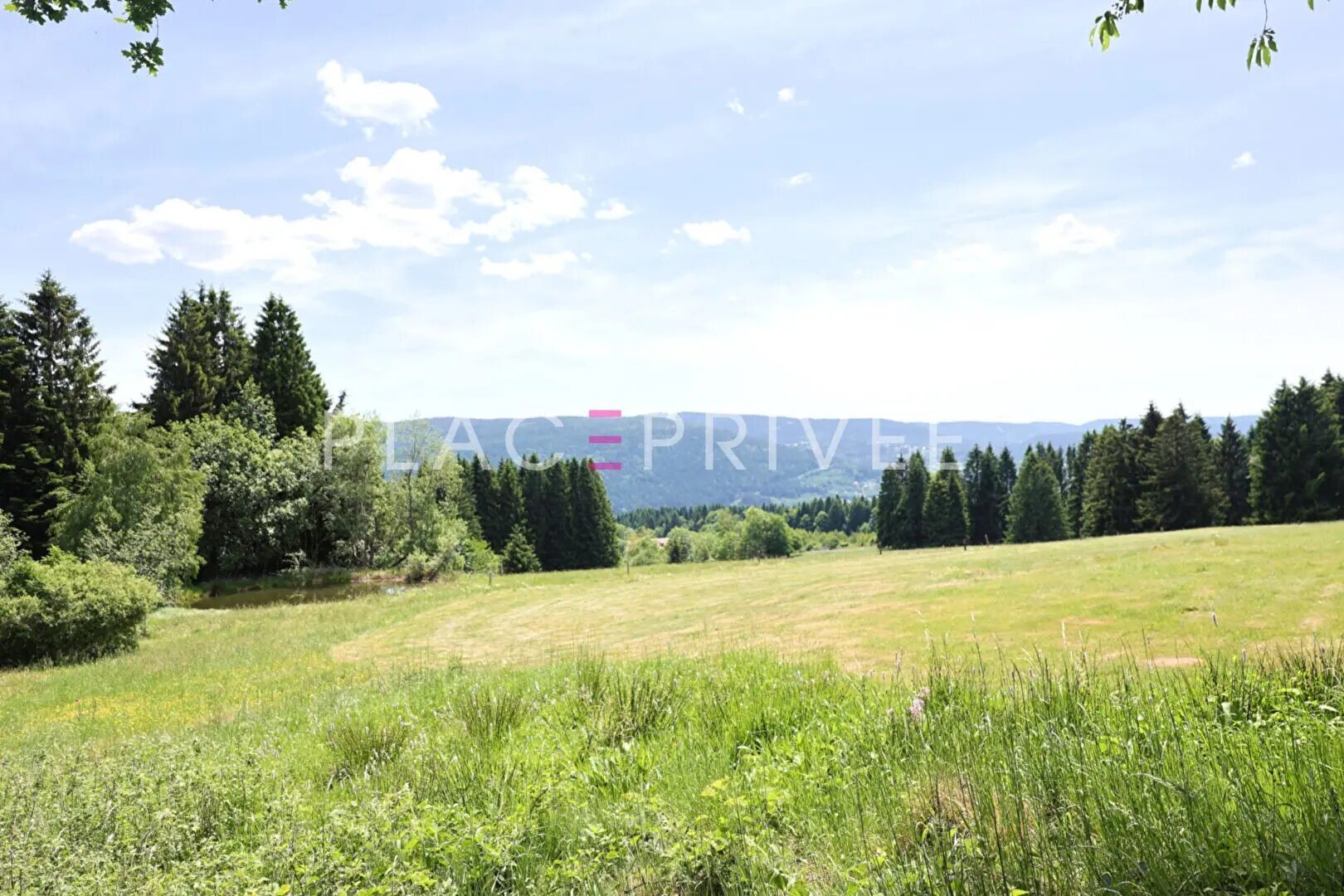 Maison à vendre, 450m², Gérardmer