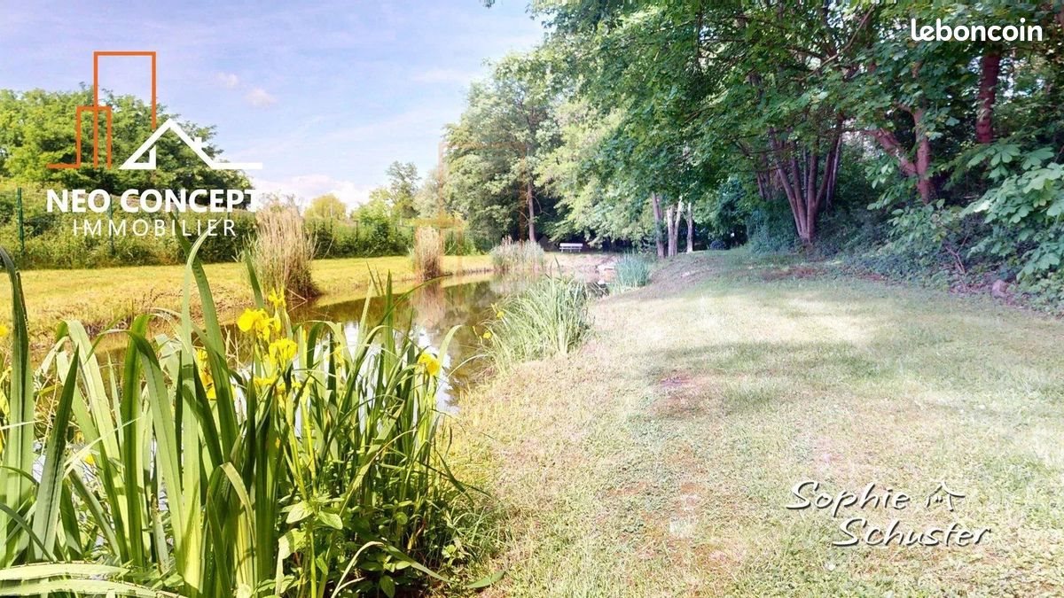 Maison à vendre, 165m², Sessenheim