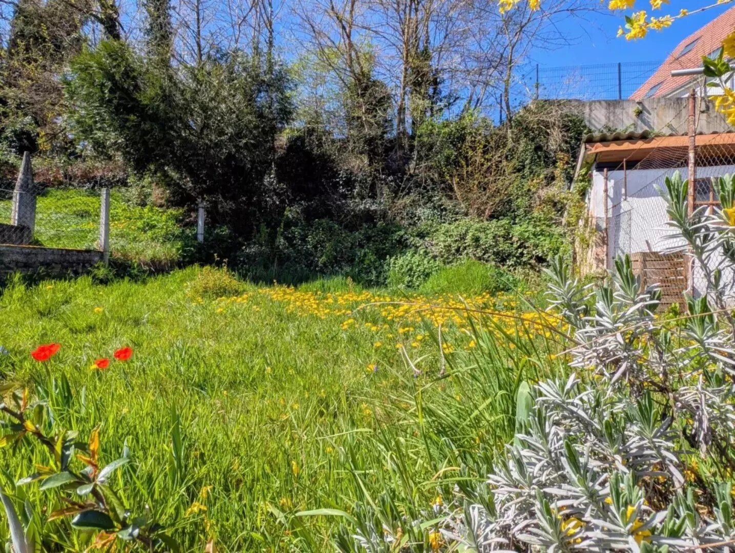 Maison à vendre, 91m², Bischwiller