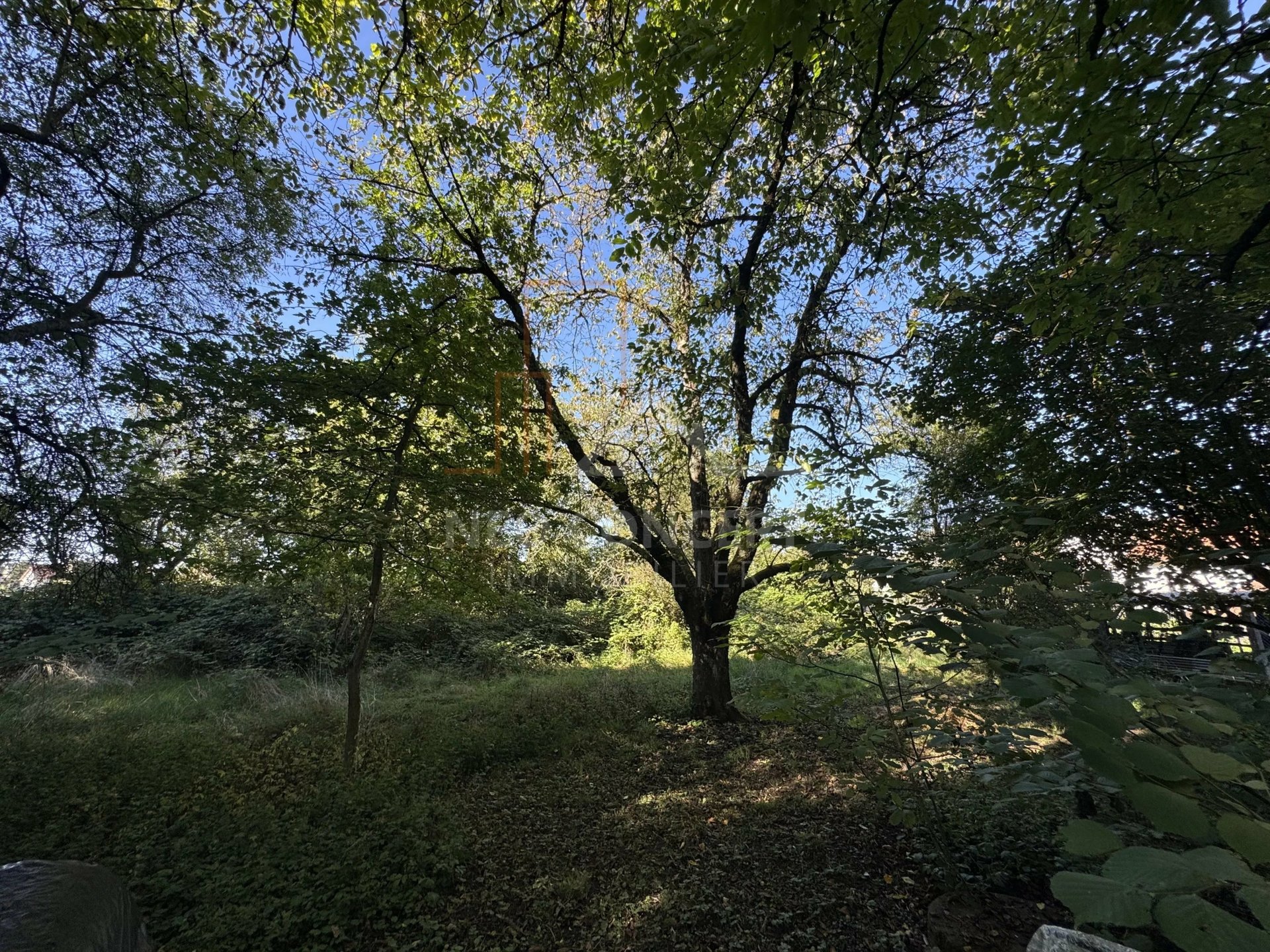 Maison à vendre, 1700m², Rountzenheim-Auenheim