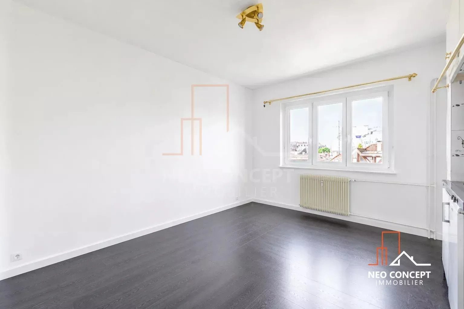 Appartement à vendre, 21m², Strasbourg