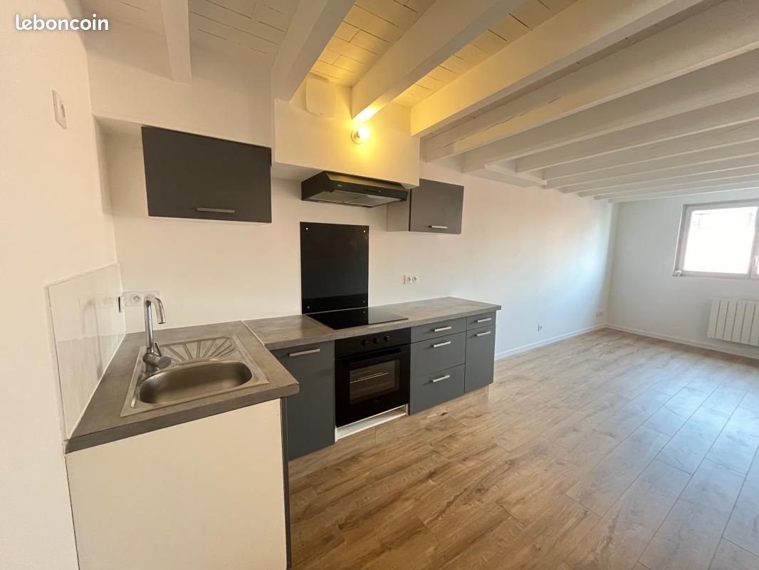 Appartement à louer, 61m², Saint-Étienne