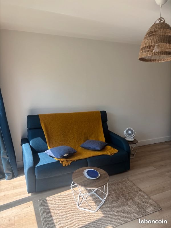 Appartement à louer, 25m², Saint-Etienne