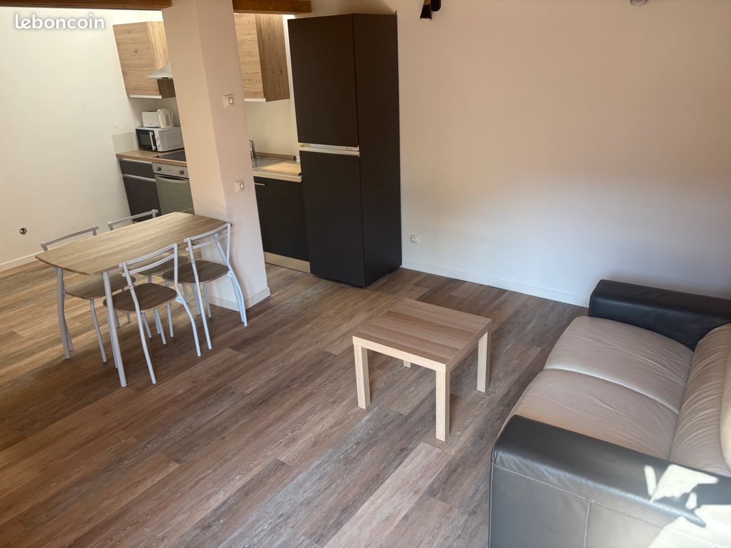 Appartement à louer, 40m², Saint-Etienne