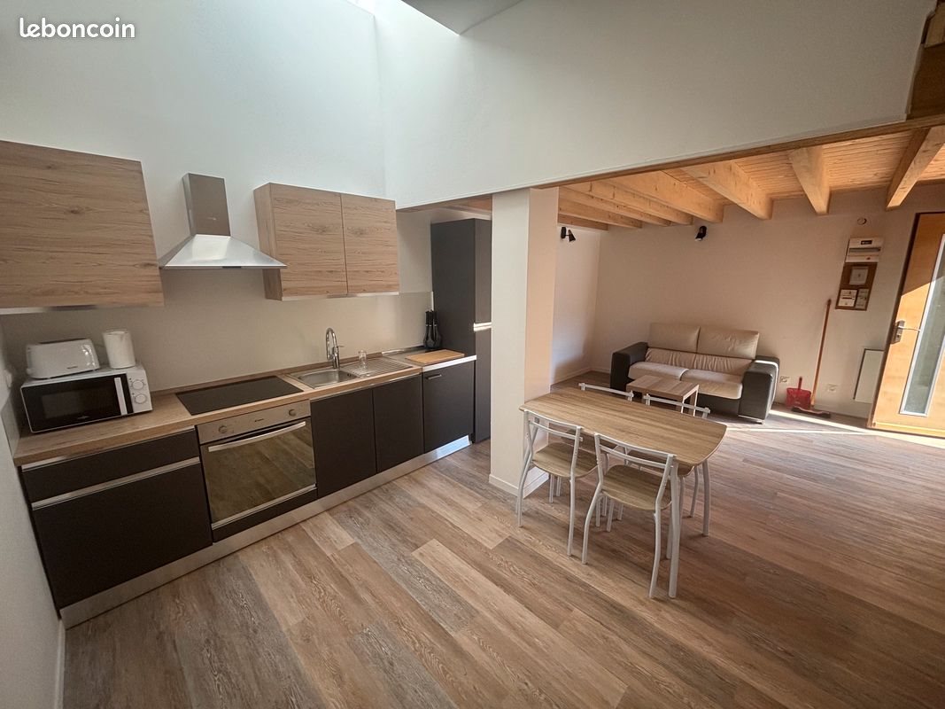 Appartement à louer, 40m², Saint-Etienne