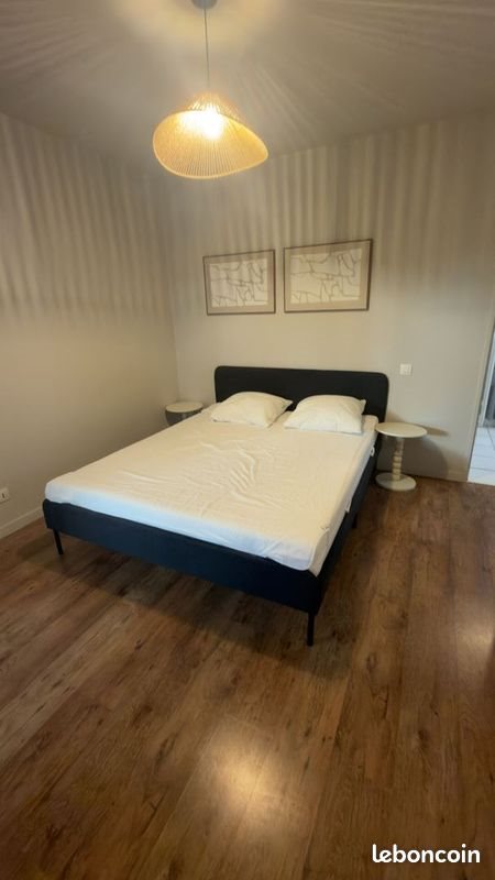 Appartement à louer, 50m², Bron