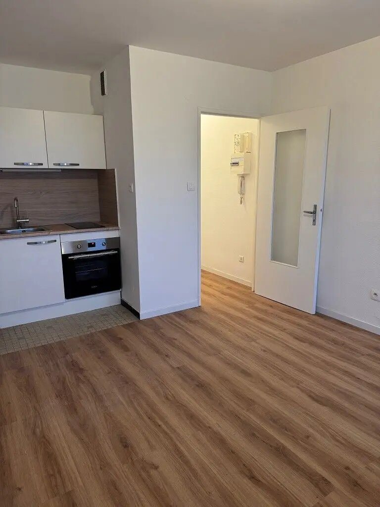 Appartement à louer, 20m², Erstein