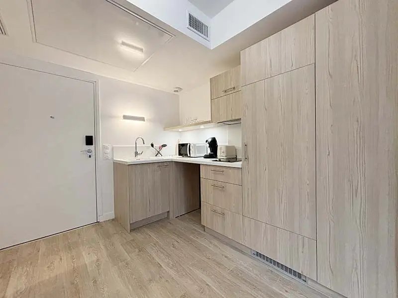 Appartement à louer, 37m², Nogent-sur-Marne