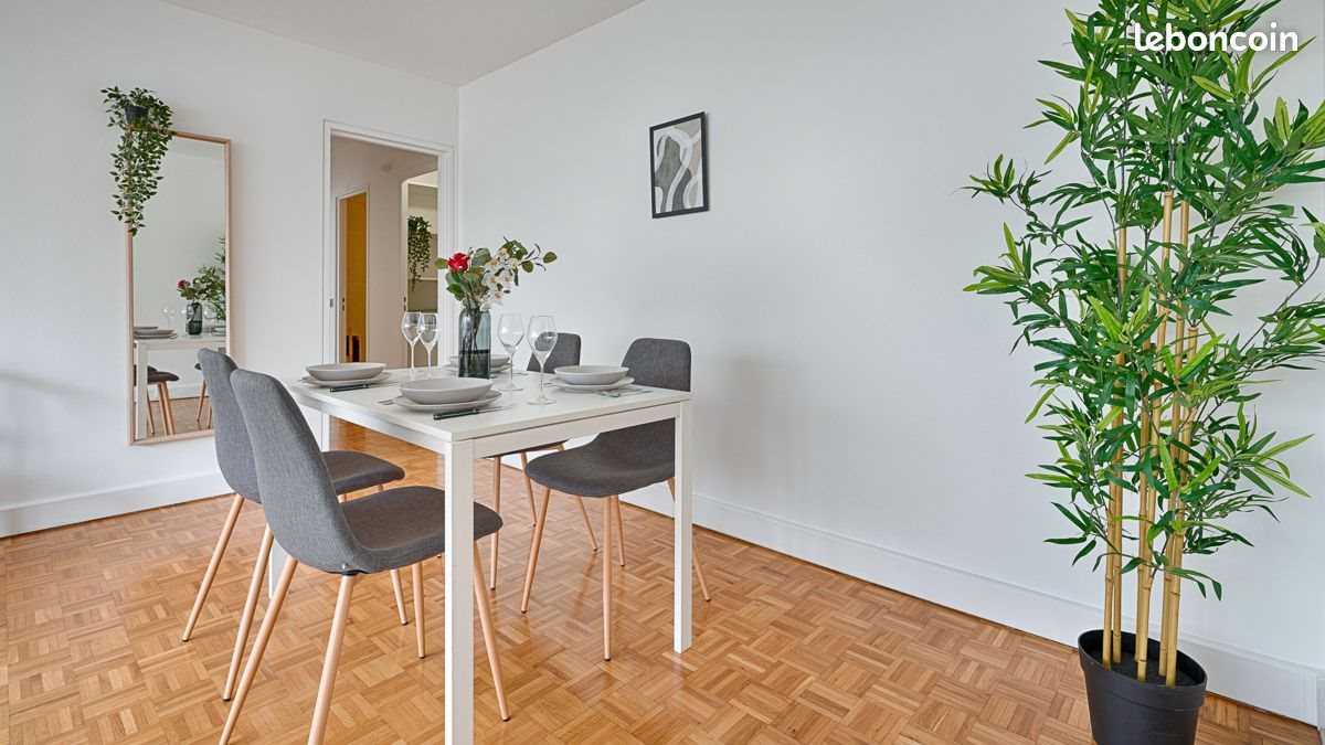 Appartement à louer, 53m², Paris 15ème