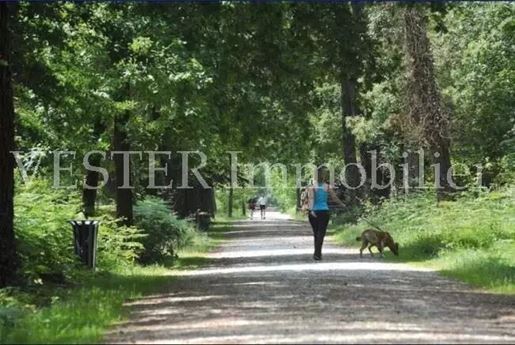 Advert pic 0