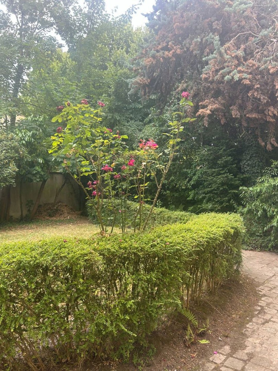 Appartement à vendre, 13m², Versailles