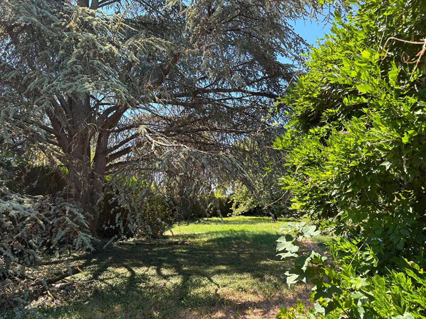 Maison à vendre, 33m², Beynes