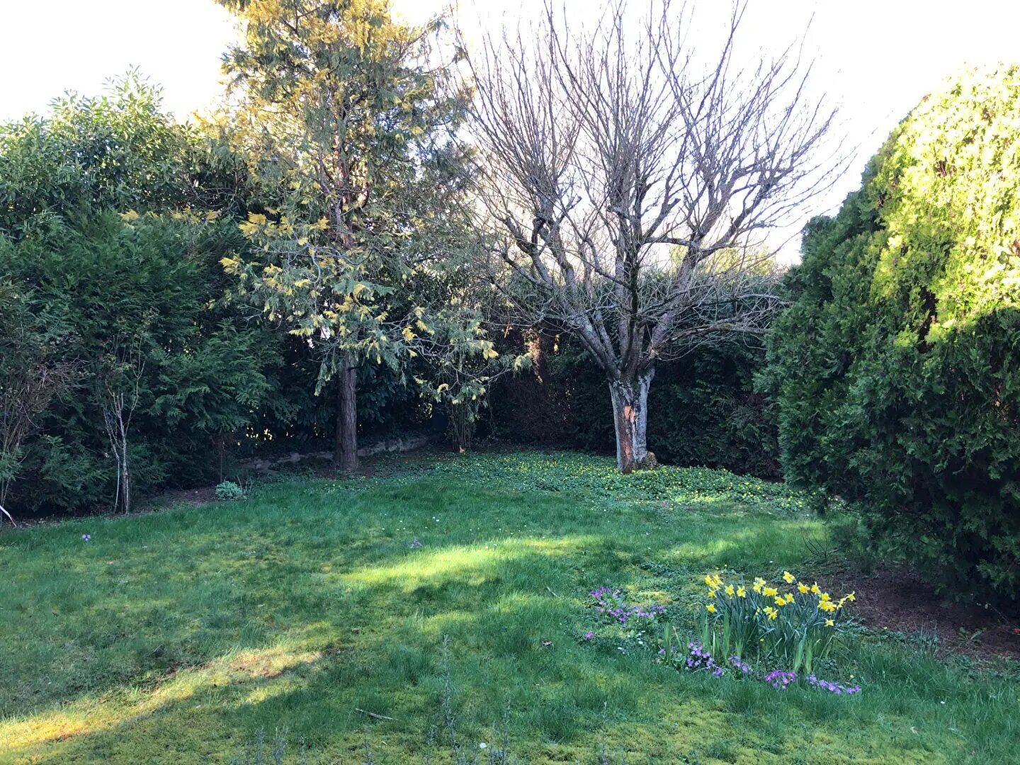 Maison à vendre, 175m², Buc