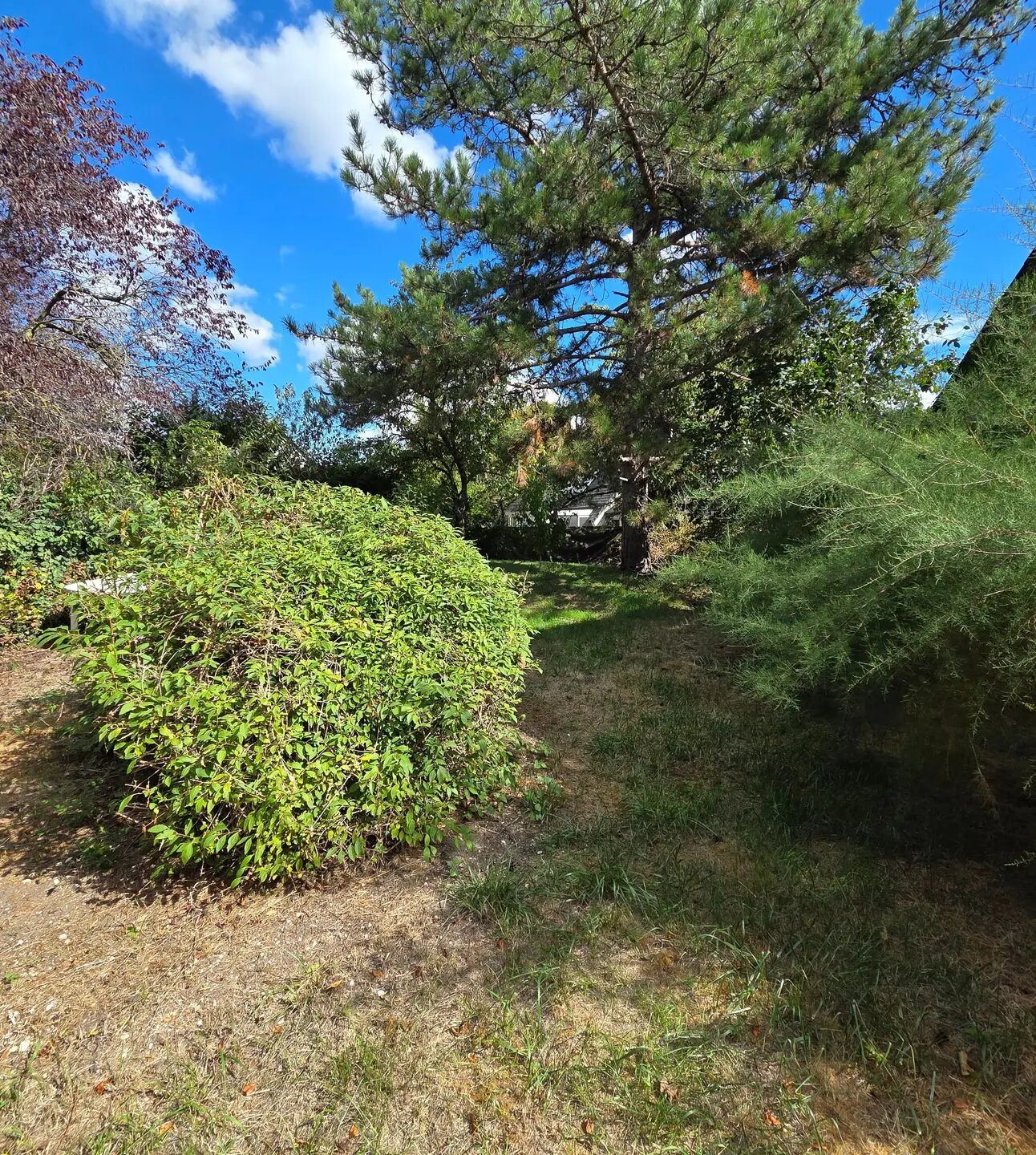 Maison à vendre, 167m², Chatou