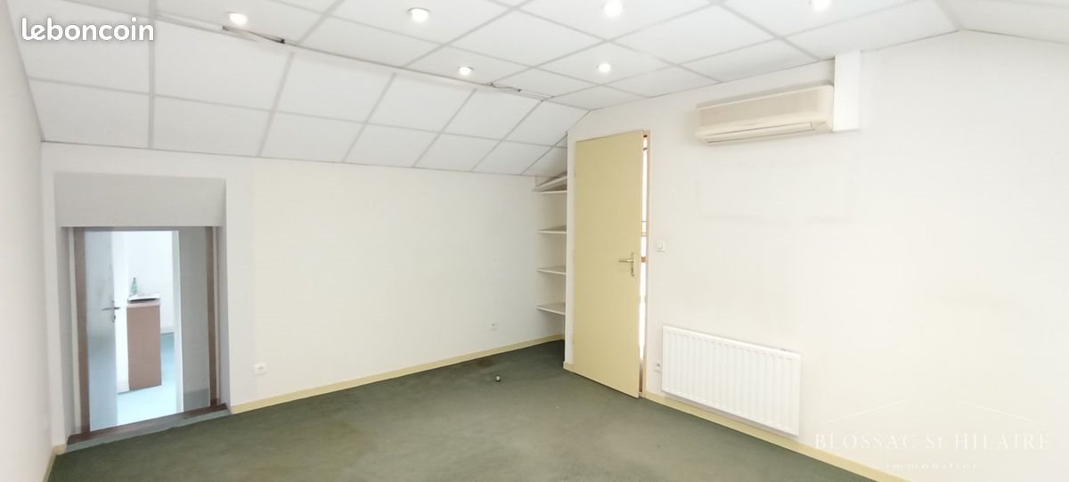 Maison à vendre, 341m², Poitiers