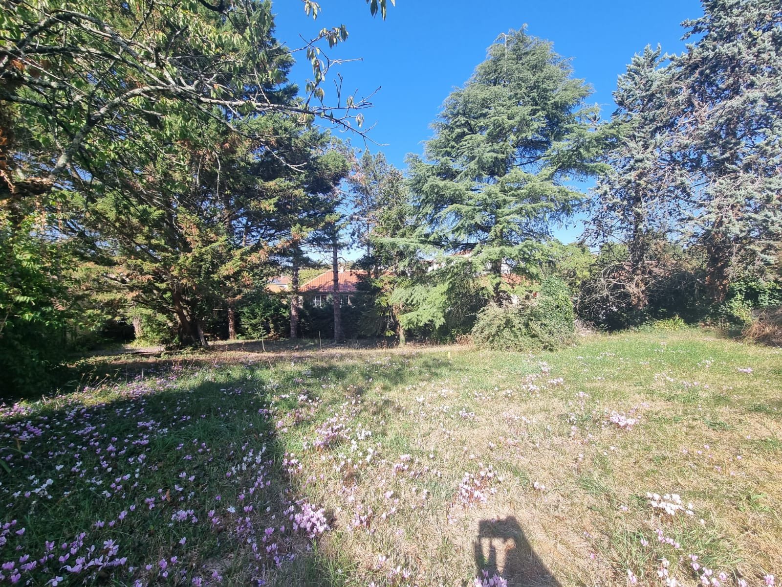 Maison à vendre, 152m², Poitiers