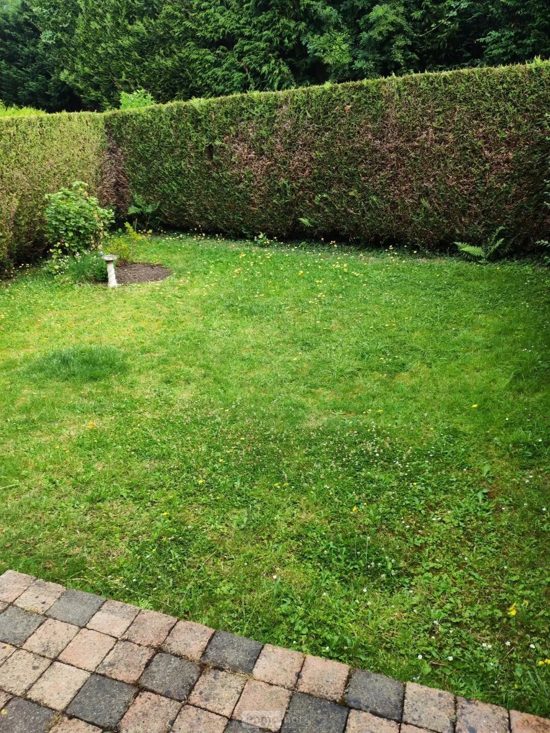 Maison à louer, 94m², Honfleur