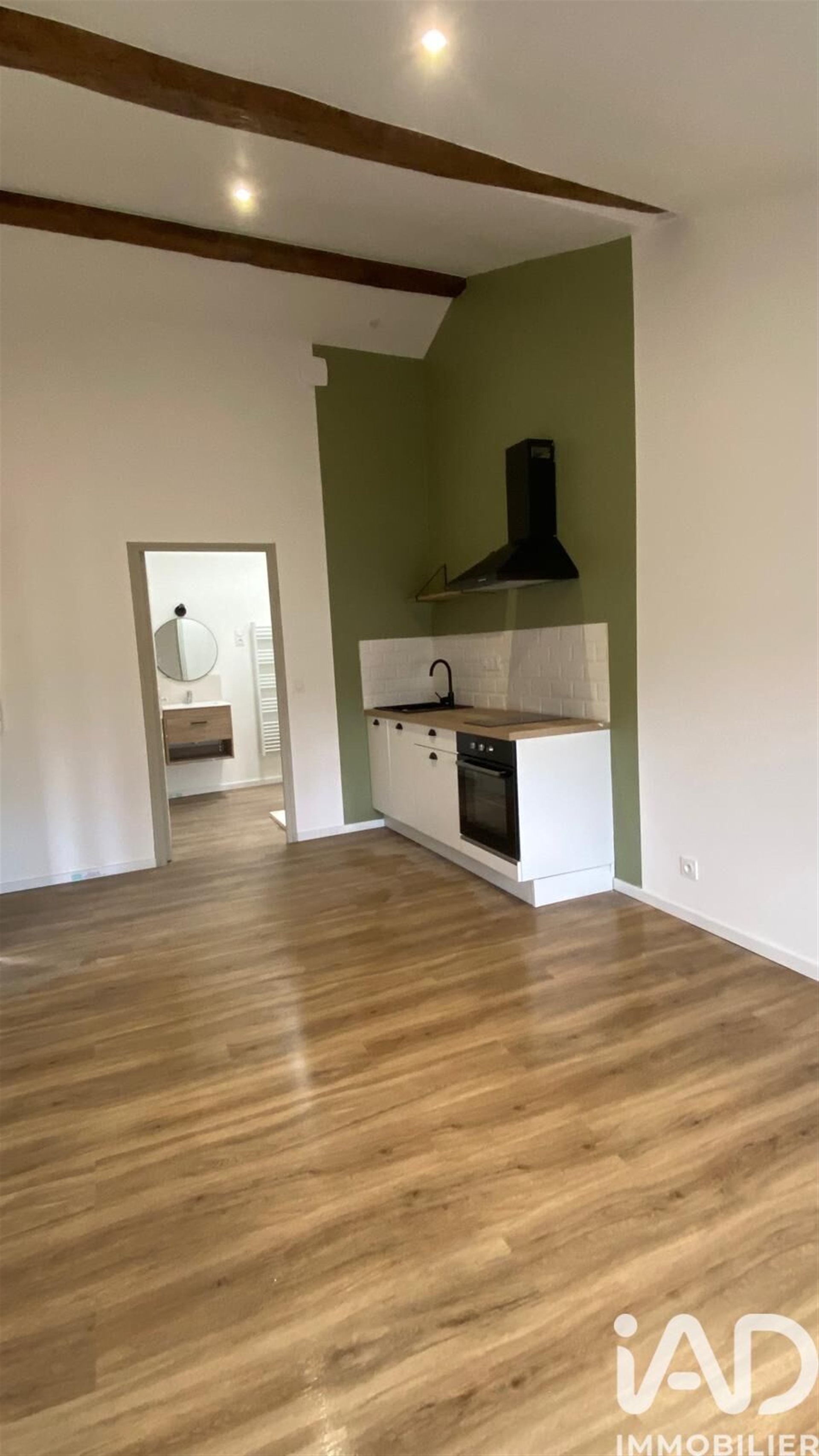 Maison à vendre, 456m², Agen