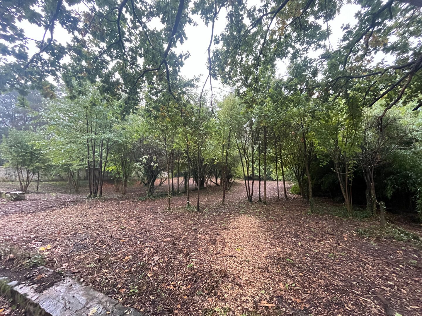 Maison à vendre, 90m², Dourdan