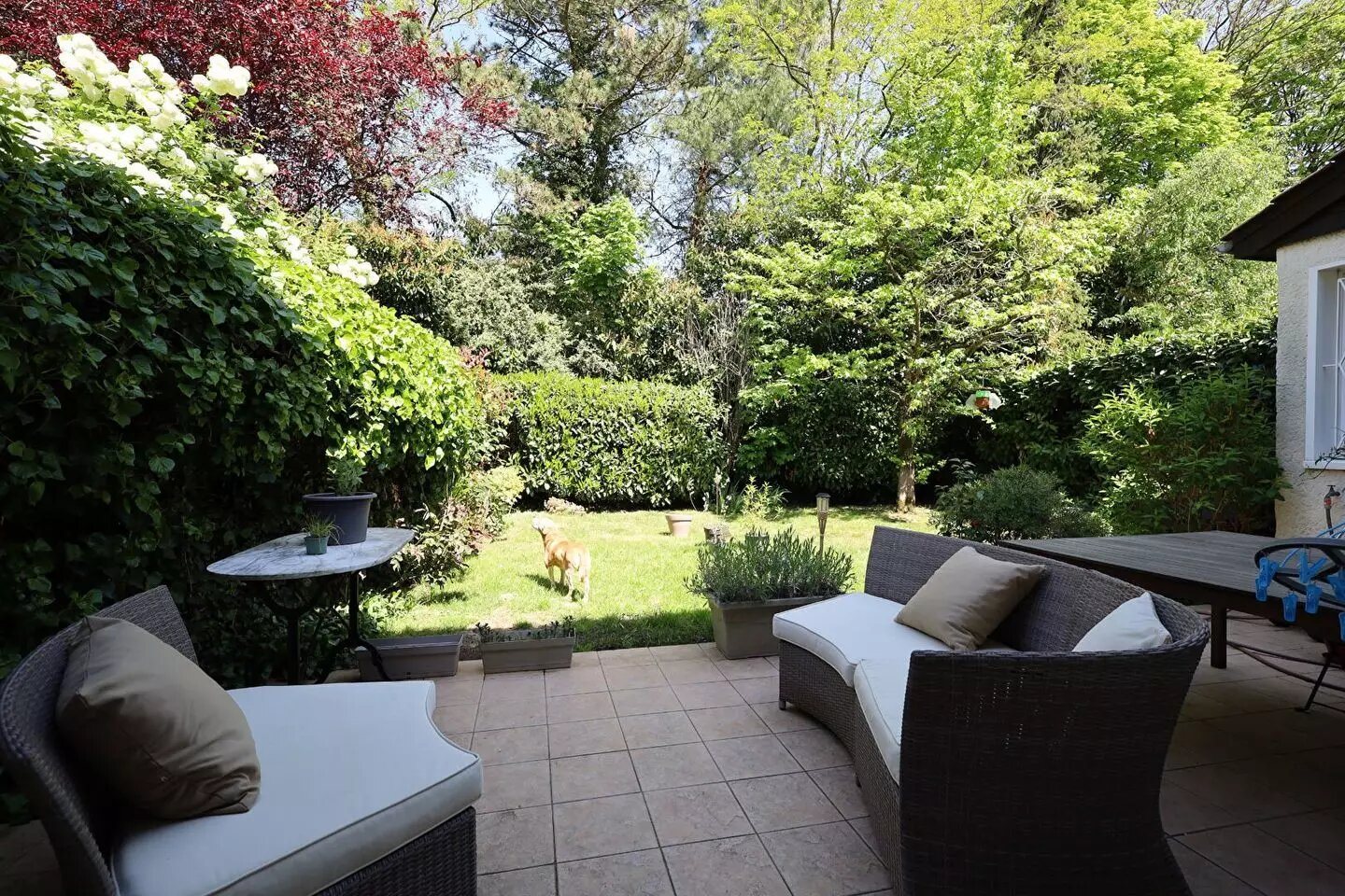 Maison à vendre, 140m², Gif-sur-Yvette