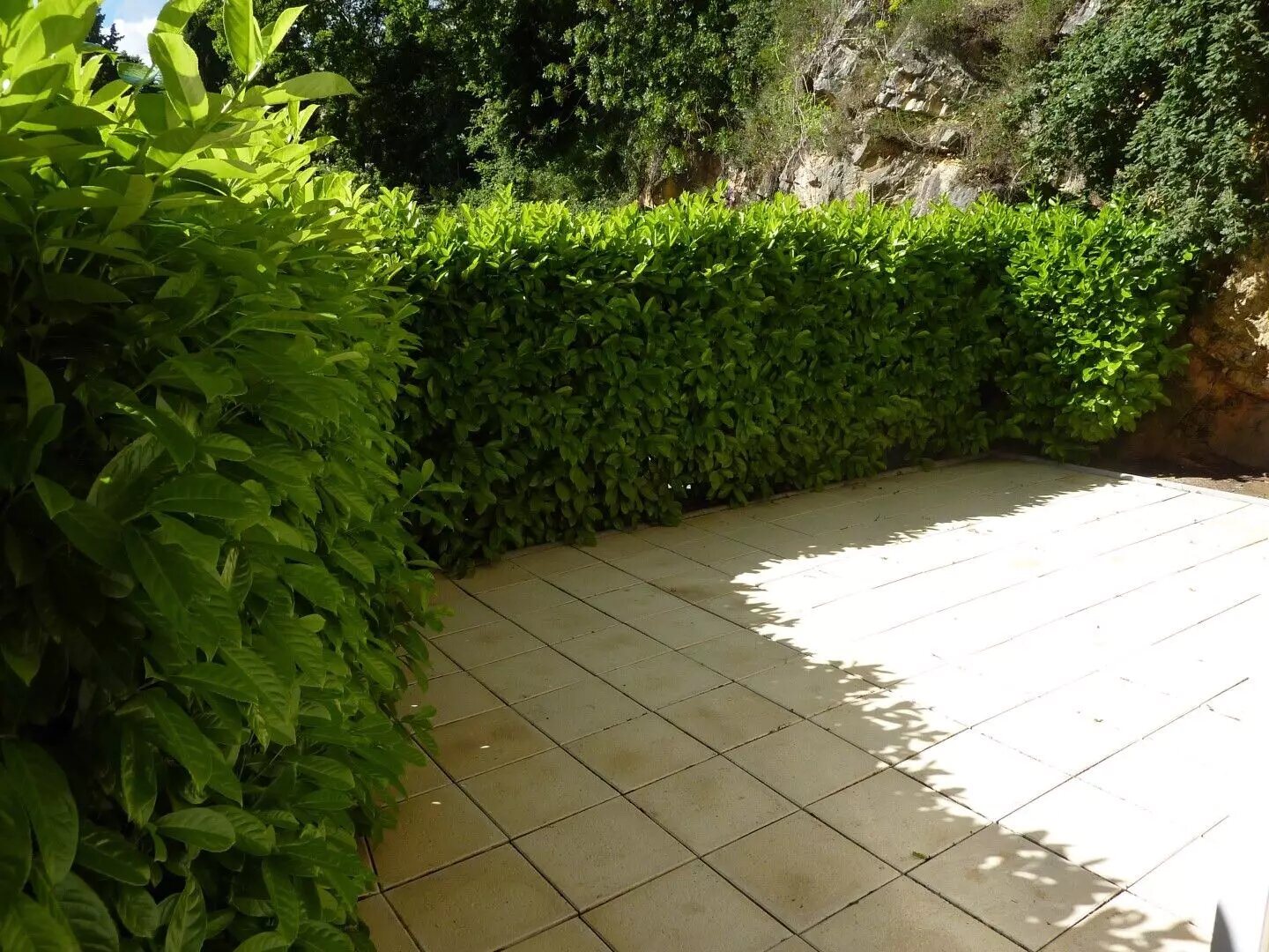 Appartement à louer, 45m², Valbonne