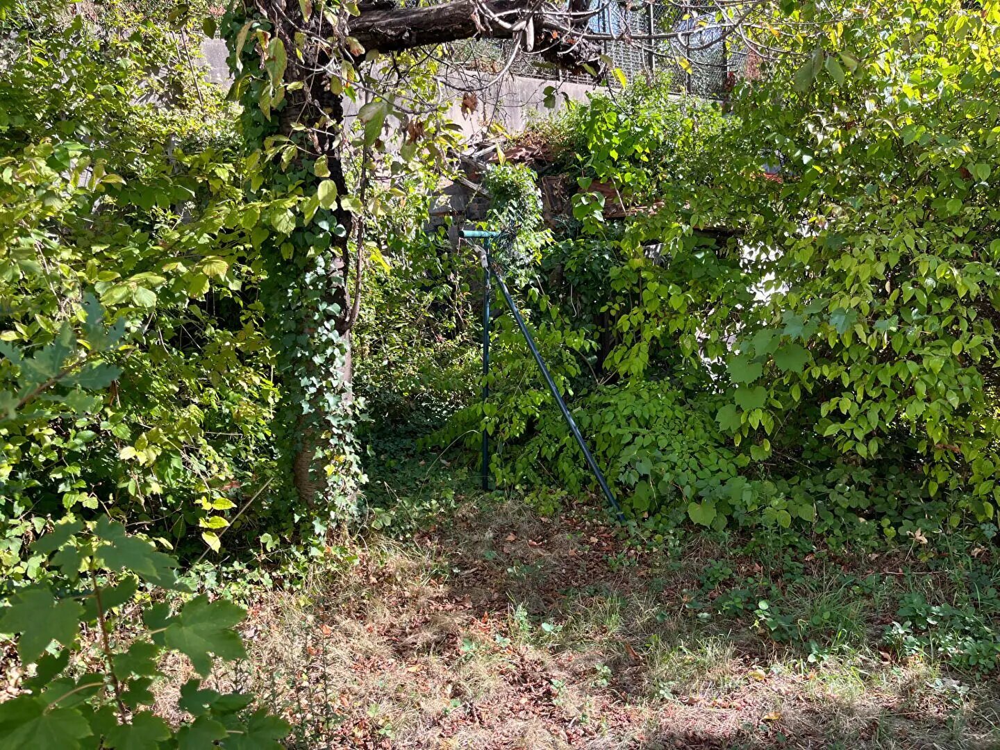 Maison à vendre, 65m², Le Plessis-Robinson