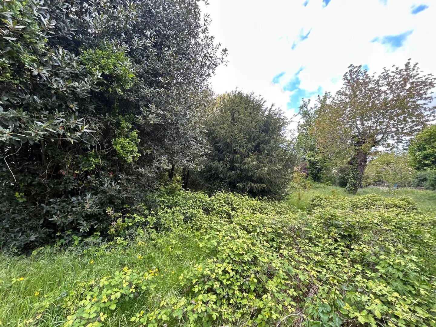 Maison à vendre, 380m², Saint-Cloud