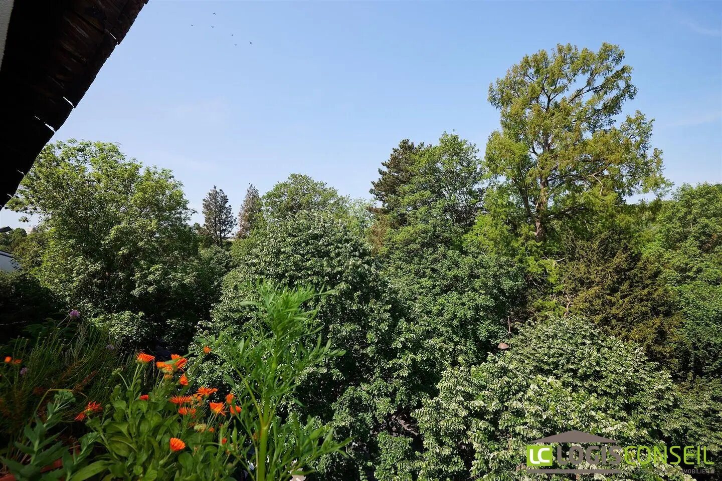 Appartement à vendre, 68m², Châtenay-Malabry