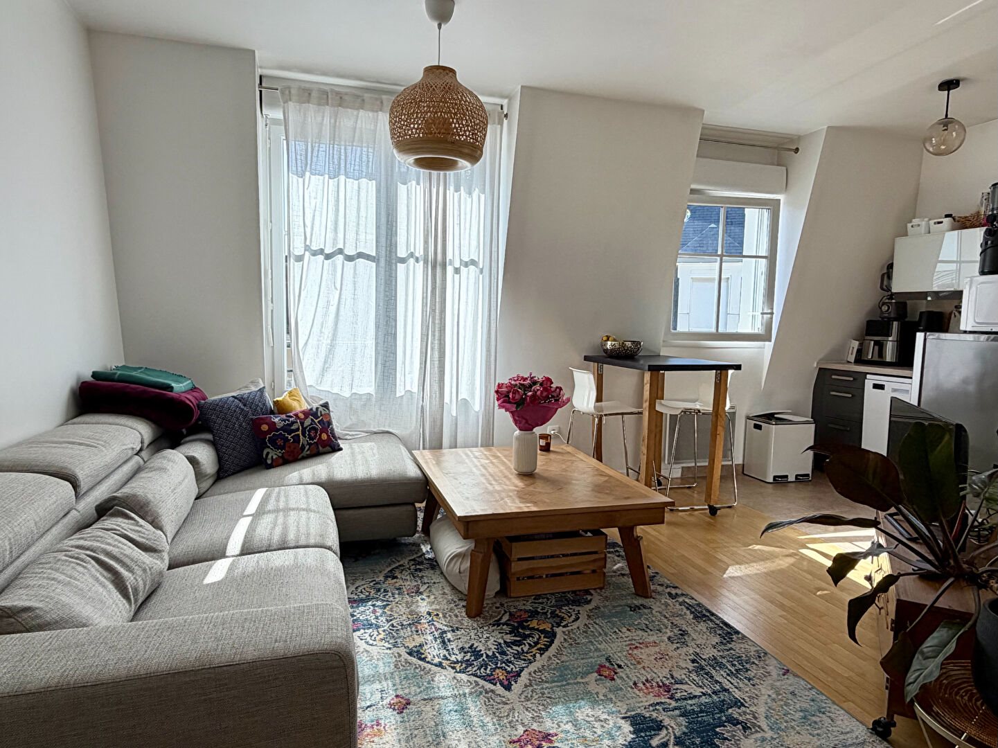 Appartement à vendre, 39m², Le Plessis-Robinson