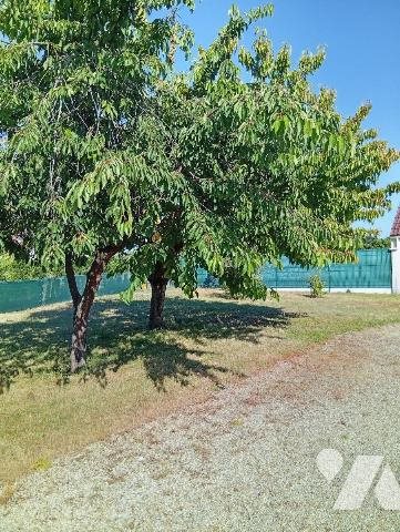 Maison à vendre, 65m², Saint-Laurent-Nouan