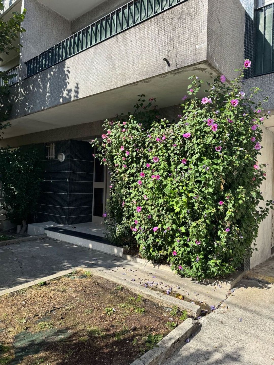 Appartement à vendre, 62m², Montreuil