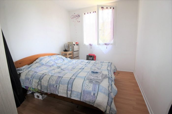 Appartement à vendre, 52m², Maisons-Alfort