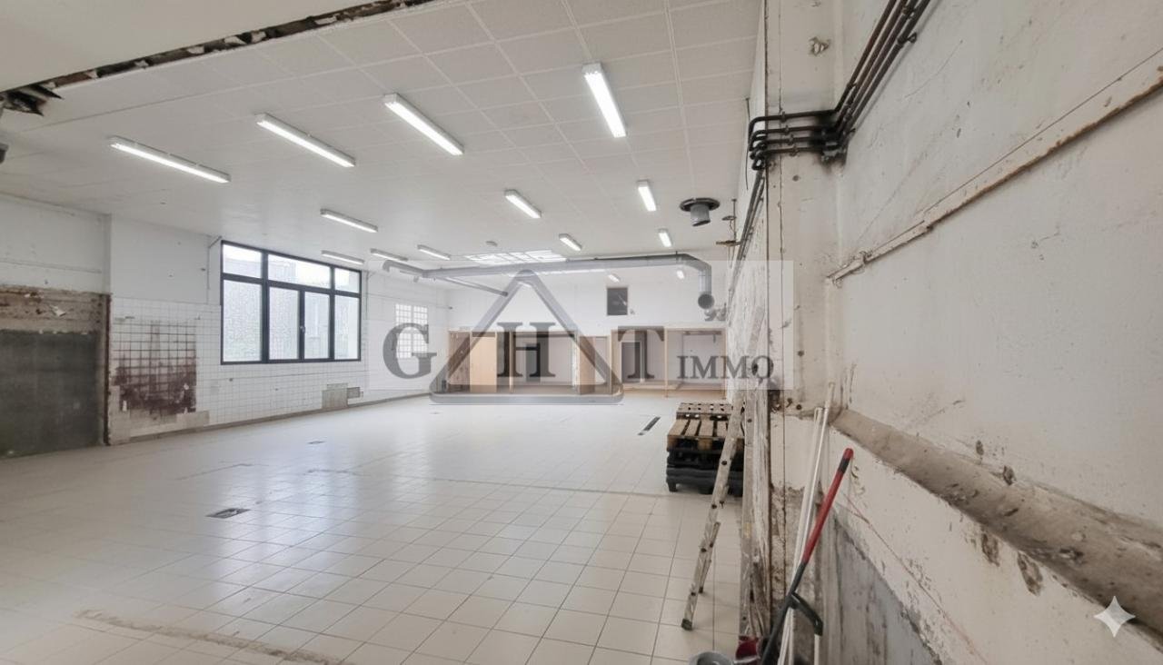 Maison à vendre, 349m², Saint-Maur-des-Fossés