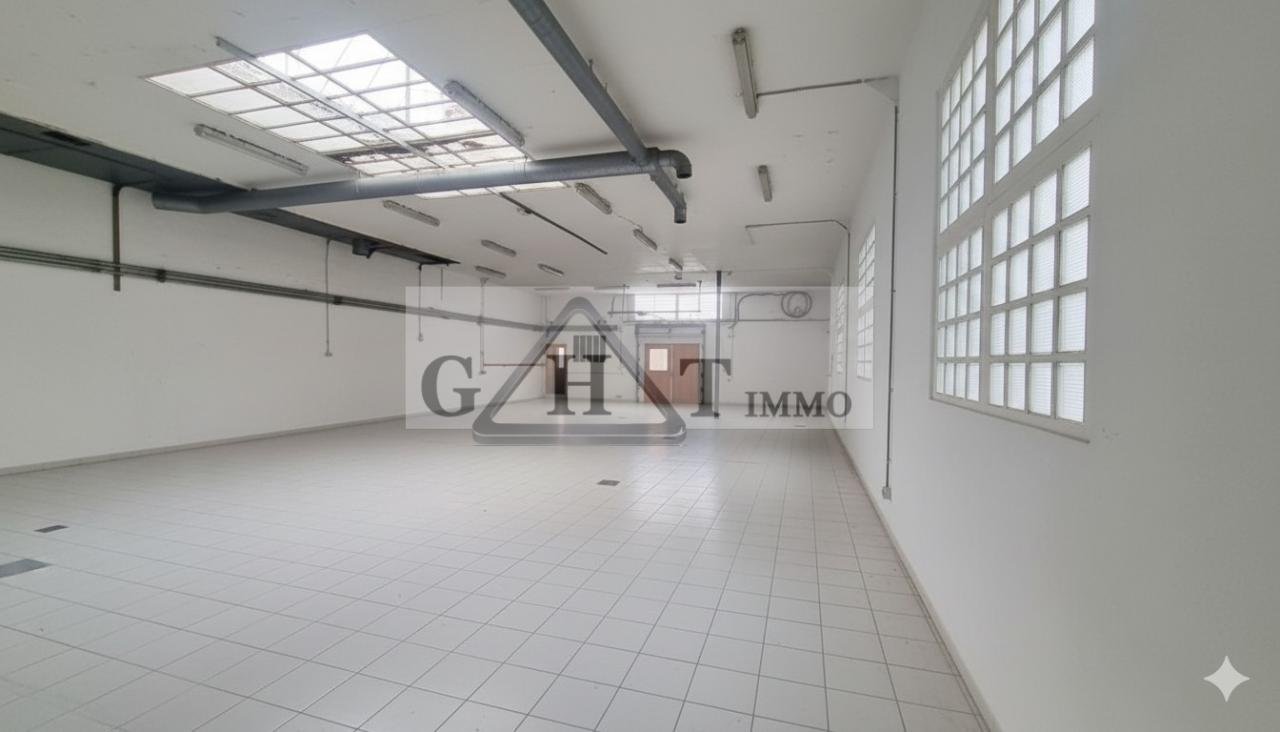 Maison à vendre, 349m², Saint-Maur-des-Fossés