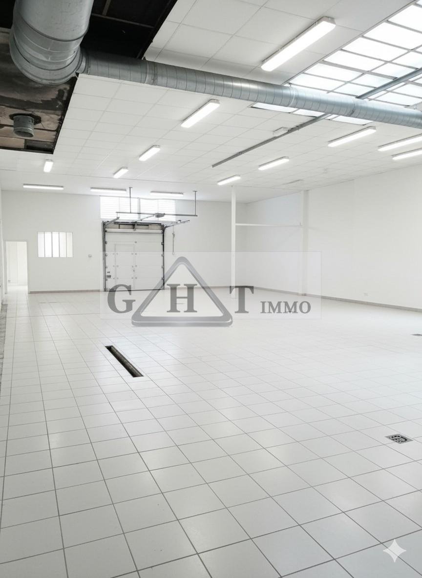 Maison à vendre, 349m², Saint-Maur-des-Fossés