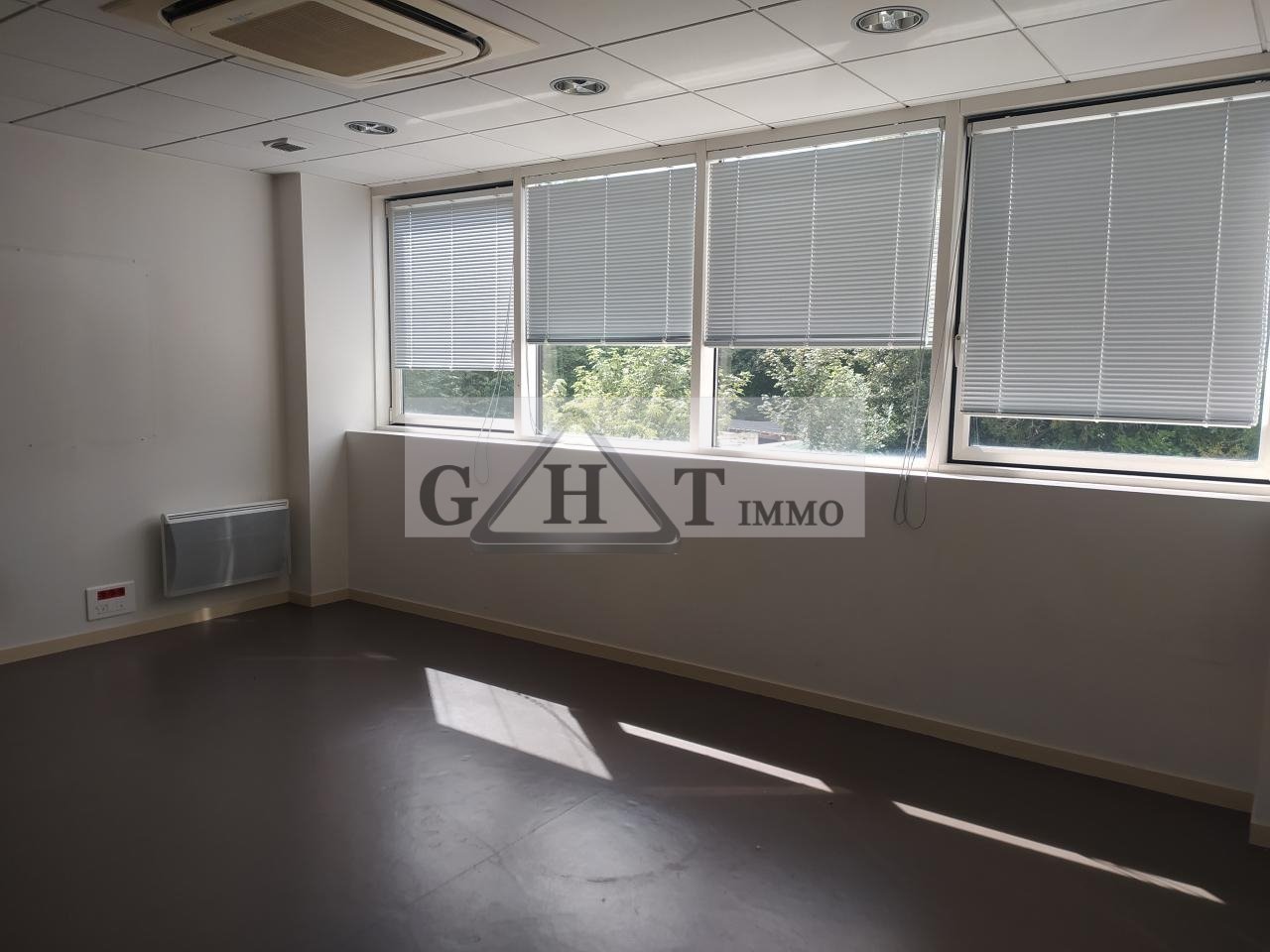 Maison à vendre, 380m², Torcy